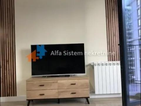 Izdavanje, dvosoban stan, 55m², Savski Venac, Beograd - image 11