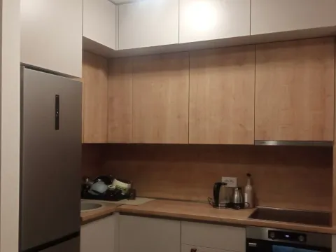 Izdavanje, jednosoban stan, 43m², Zabjelo, Podgorica - image 4