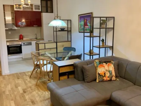 Rent, one bedroom apartment, 45m², Zabjelo, Podgorica - image 9