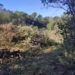 Prodaja, plac, 1290m², Kotor, Crna Gora - image 5