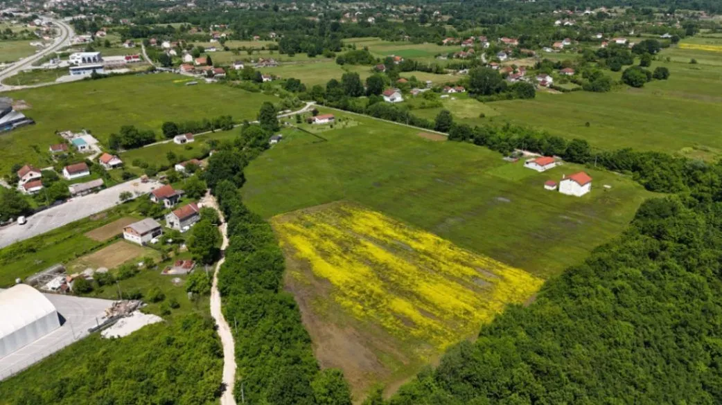 Prodaja, plac, 9871m², Ćurilac, Danilovgrad