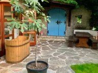 Izdavanje, kuća, 78m², Pržno, Budva - image 8