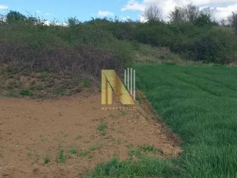 Prodaja, plac, 1200m², Novi Sad, Srbija - image 4