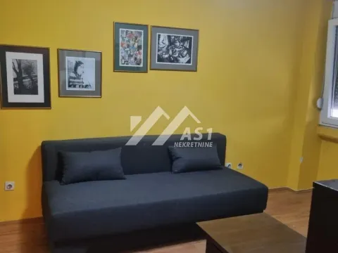 Izdavanje, dvosoban stan, 50m², Bulevar Oslobodjenja, Novi Sad Sve Podlokacije - image 6