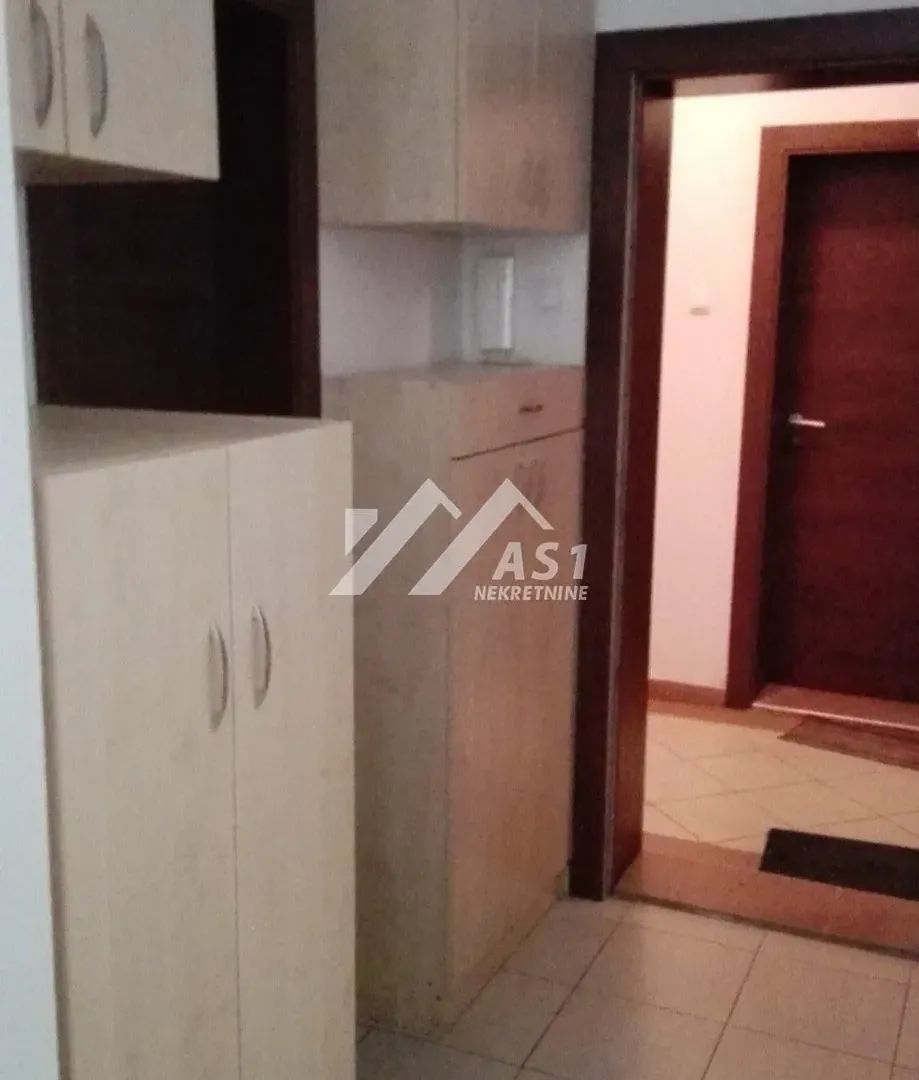 Izdavanje, stan, 25m², Detelinara, Novi Sad Sve Podlokacije