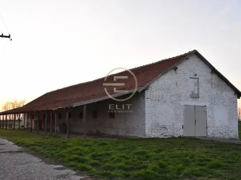 Prodaja, plac, 980m², Vrbas, Novi Sad - image 18