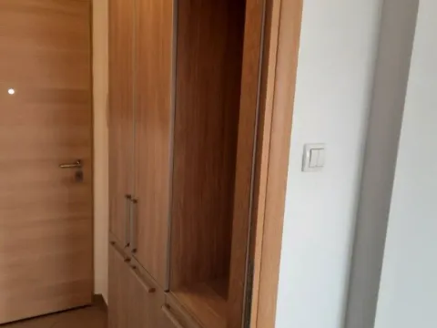 Rent, one bedroom apartment, 39m², Tuški Put, Podgorica - image 12