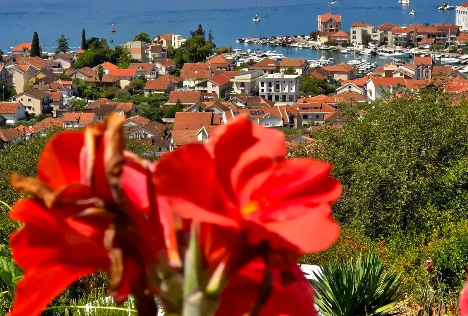 Izdavanje, stan, 40m², Tivat, Crna Gora