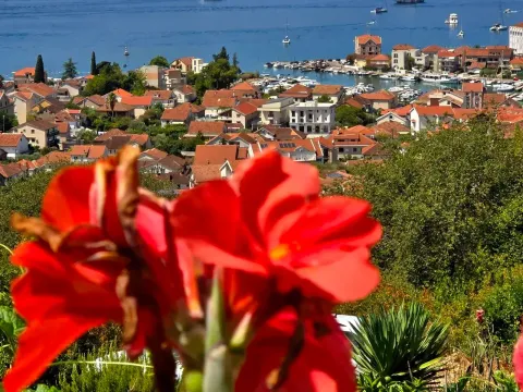 Izdavanje, stan, 40m², Tivat, Crna Gora - image 1