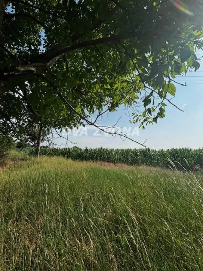 Prodaja, plac, 1200m², Čortanovci, Inđija
