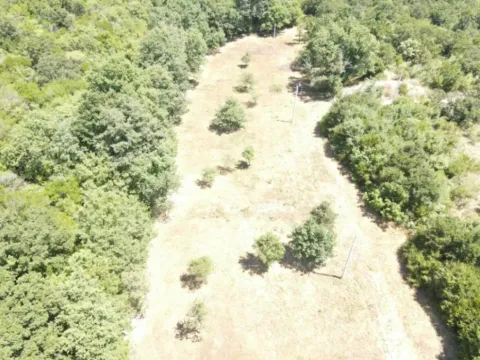 Sale, land lot, 30000m², Kunje, Bar - image 3