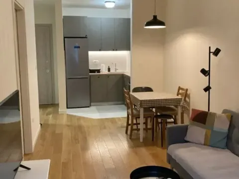 Prodaja, jednosoban stan, 40m², Central Point, Podgorica - image 2