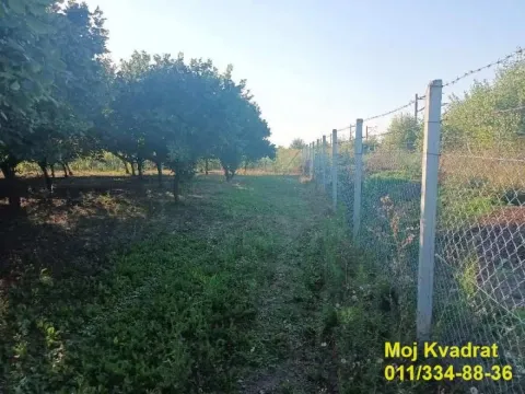 Prodaja, plac, 114m², Nova Pazova, Stara Pazova - image 6