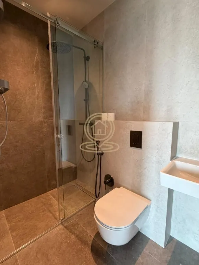 Modern bathroom with a walk-in shower and built-in sanitaryware.