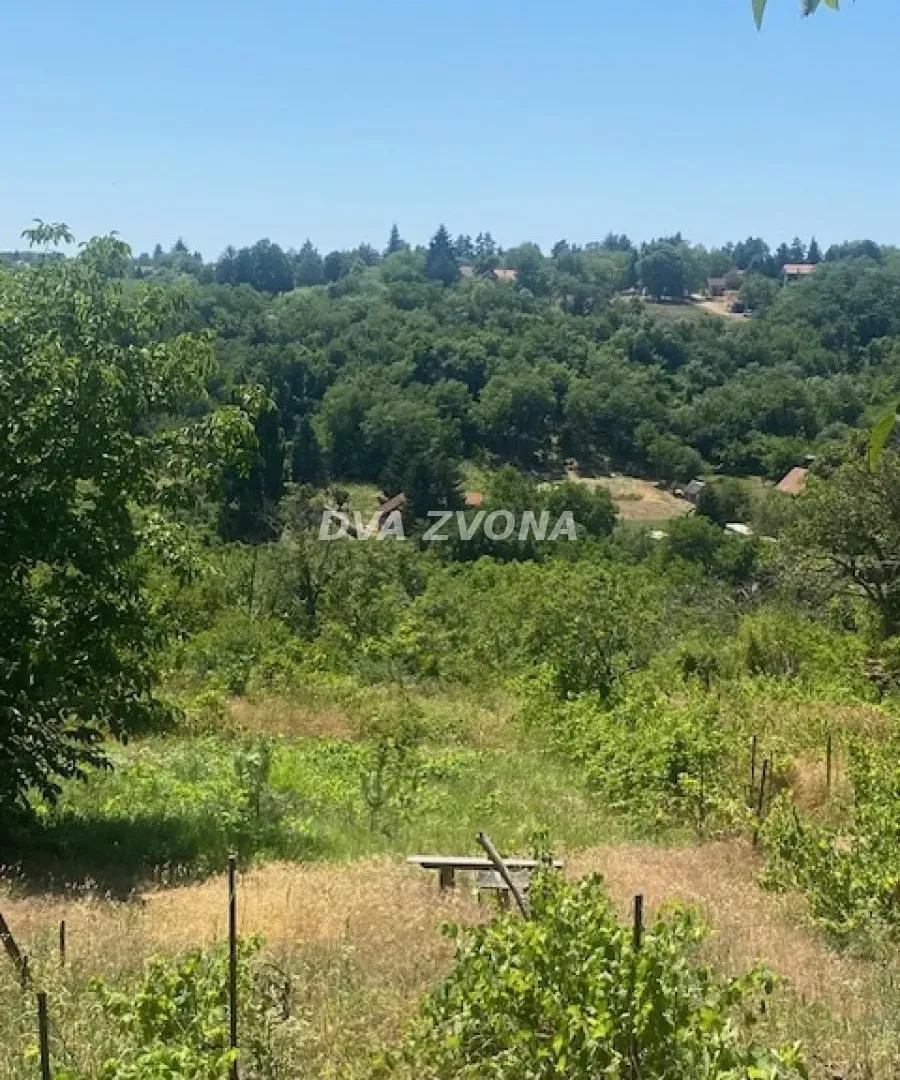 Prodaja, plac, 2000m², Čortanovci, Inđija