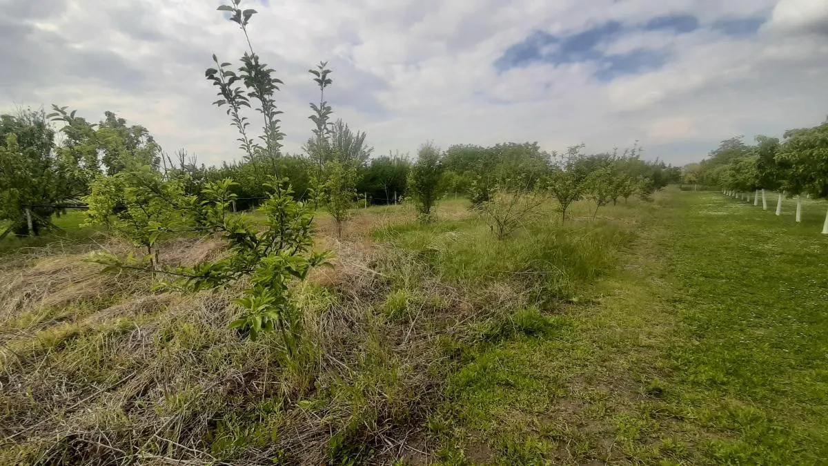 Prodaja, kuća, 205m², Vrbas, Novi Sad