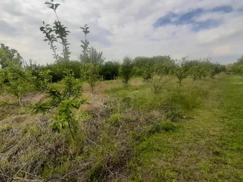 Prodaja, kuća, 205m², Vrbas, Novi Sad - image 27