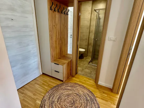 Izdavanje, jednosoban stan, 50m², Zabjelo, Podgorica - image 6