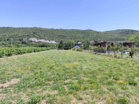 Pogled na prostrani plac sa zelenilom i voćnjakom u prizemlju. - image 2
