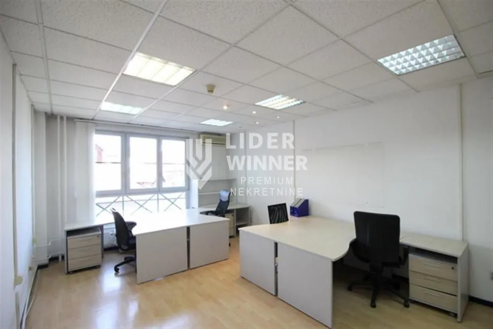 Izdavanje, poslovni prostor, 220m², Centar Sve Podlokacije, Beograd
