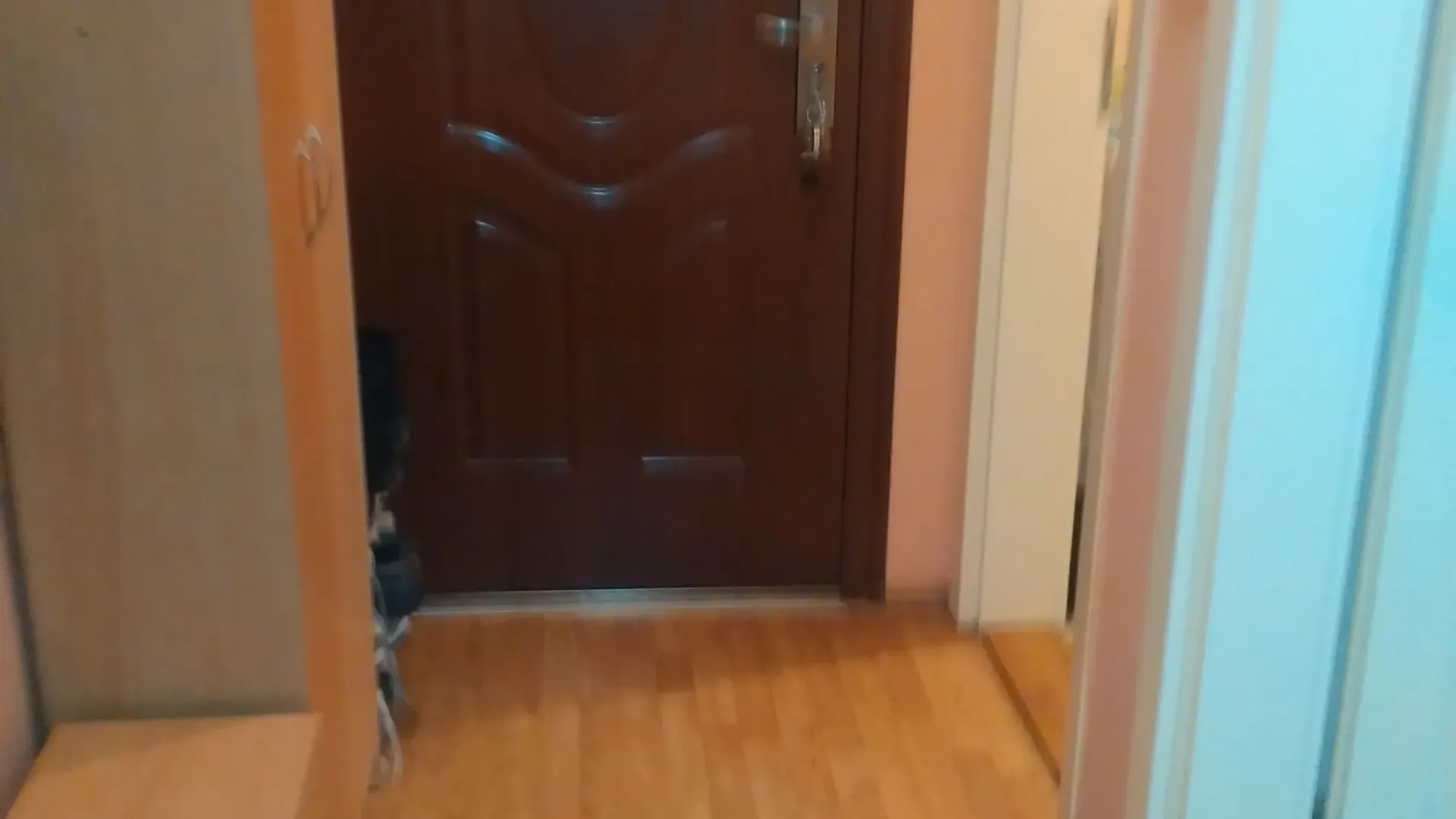 Izdavanje, dvosoban stan, 38m², Novi Sad Sve Podlokacije, Novi Sad