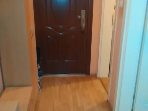 Izdavanje, dvosoban stan, 38m², Novi Sad Sve Podlokacije, Novi Sad - image 4