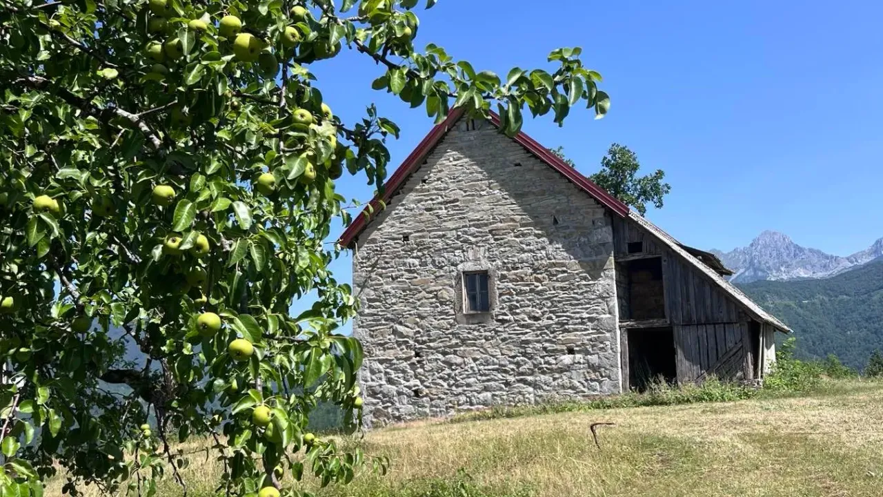 Prodaja, plac, 33000m², Kolašin, Crna Gora