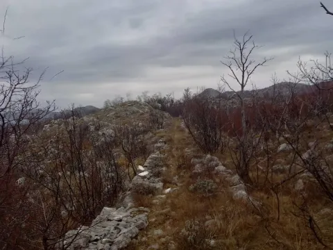 Prodaja, plac, 128000m², Cetinje, Crna Gora - image 6