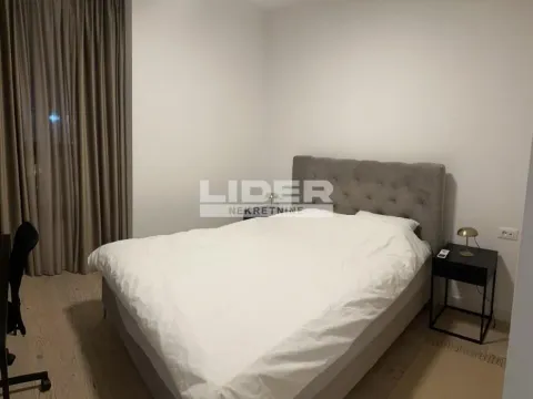 Izdavanje, dvosoban stan, 54m², Savski Venac, Beograd - image 5