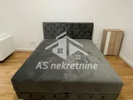 Izdavanje, dvosoban stan, 53m², Zemun Sve Podlokacije, Beograd - image 9