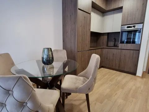 Rent, one bedroom apartment, 46m², Budva okolina, Budva - image 8