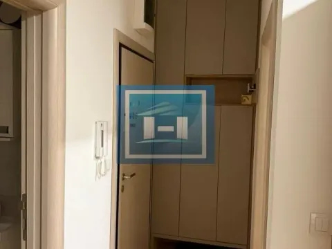 Izdavanje, jednosoban stan, 30m², Cvetkova Pijaca, Zvezdara Sve Podlokacije - image 7