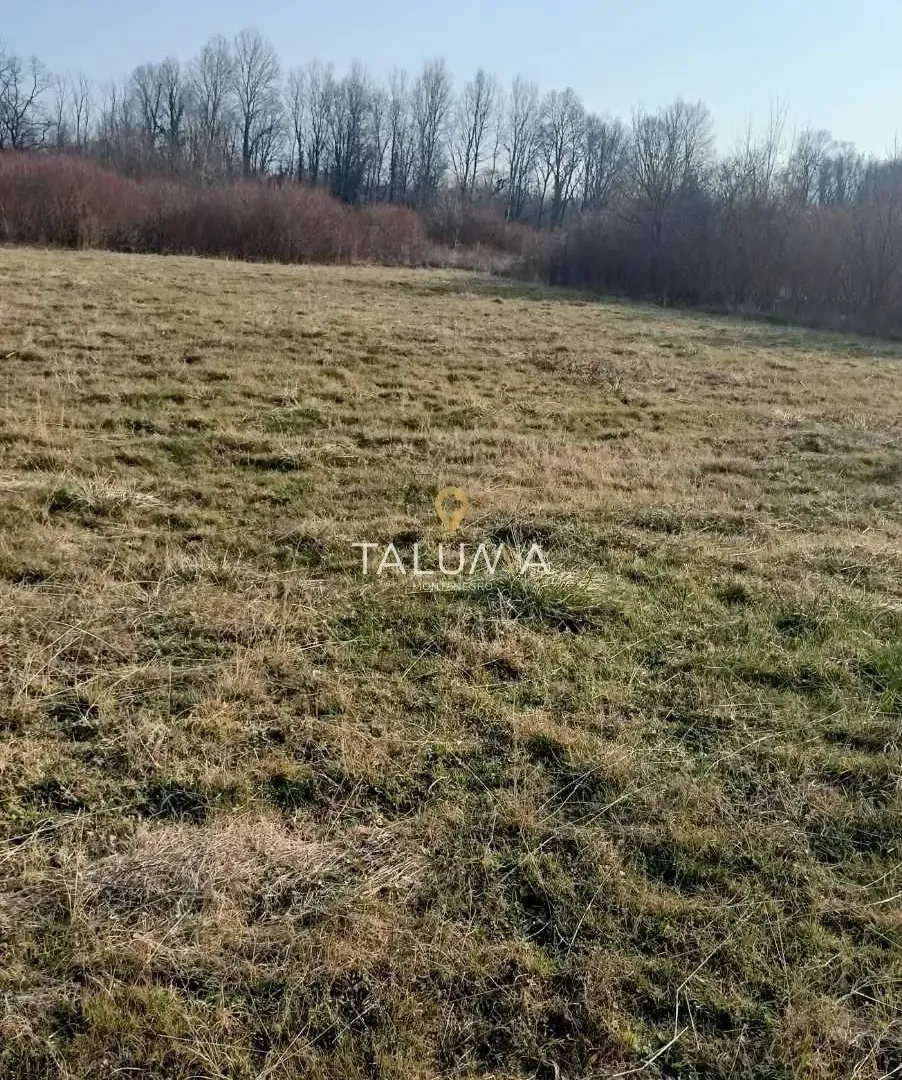 Sale, land lot, 4478m², Kosić, Danilovgrad