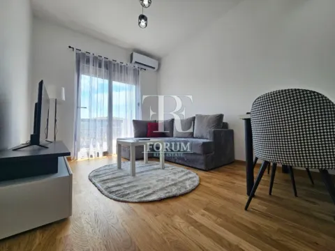 Izdavanje, jednosoban stan, 40m², Zabjelo, Podgorica - image 4