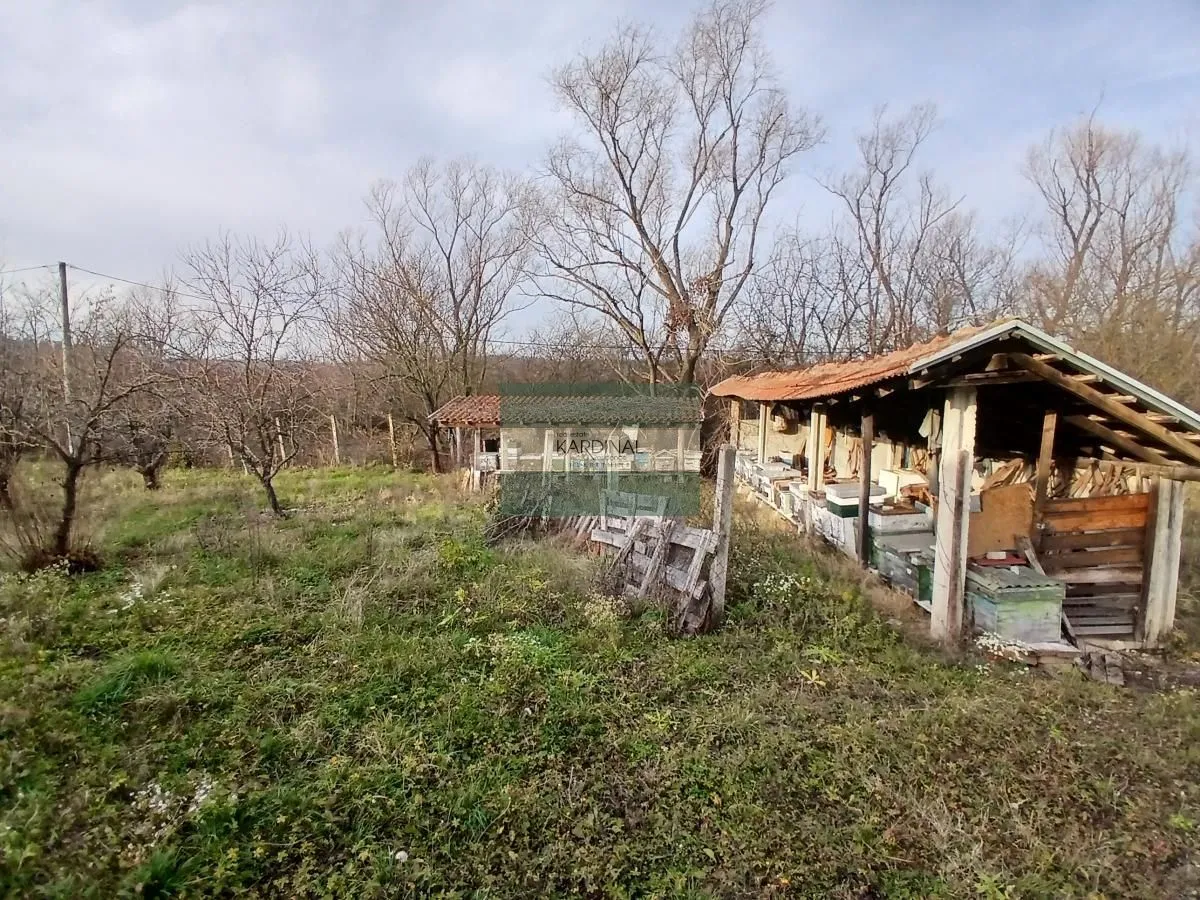 Sale, office space, 723m², Veliki Popović, Despotovac