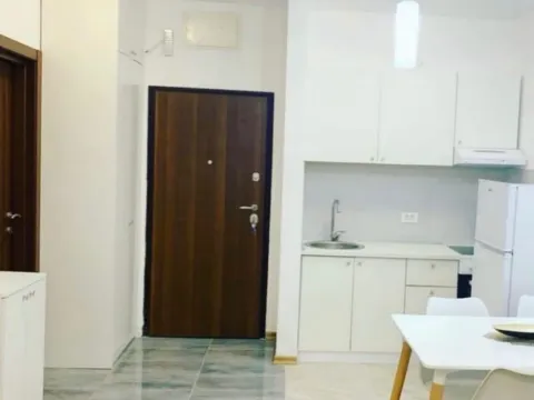 Izdavanje, garsonjera, 31m², Ljubović, Podgorica - image 5