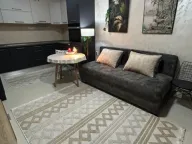 Rent, one bedroom apartment, 40m², Zlatica, Podgorica - image 1