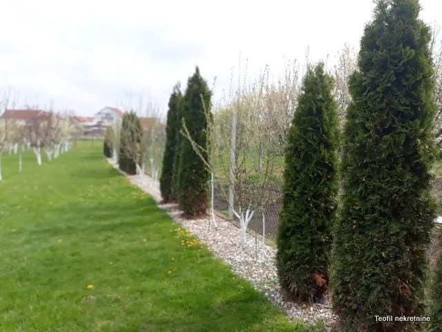 Prodaja, kuća, 450m², Nova Pazova, Stara Pazova