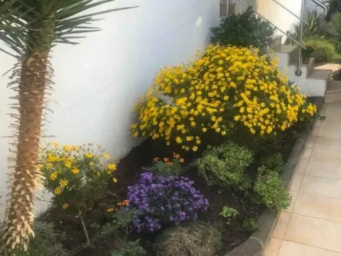 Sale, house, 200m², Bečići, Budva - image 15
