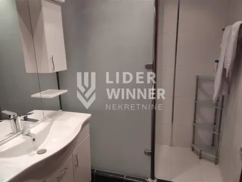 Izdavanje, četvorosoban stan, 260m², Savski Venac, Beograd - image 10