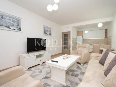 Rent, one bedroom apartment, 54m², Zabjelo, Podgorica - image 8