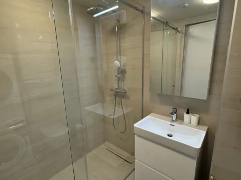 Rent, two bedroom apartment, 47m², Novi Beograd Blok 65, Novi Beograd Sve Podlokacije - image 9