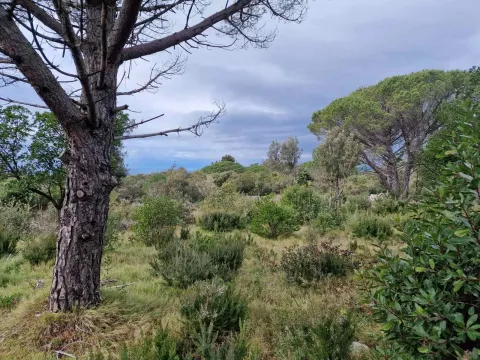 Prodaja, plac, 930m², Zagora, Kotor - image 20