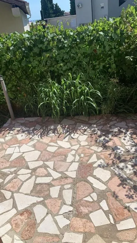 Rent, one bedroom apartment, 55m², Šušanj, Bar