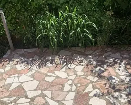 Rent, one bedroom apartment, 55m², Šušanj, Bar - image 9