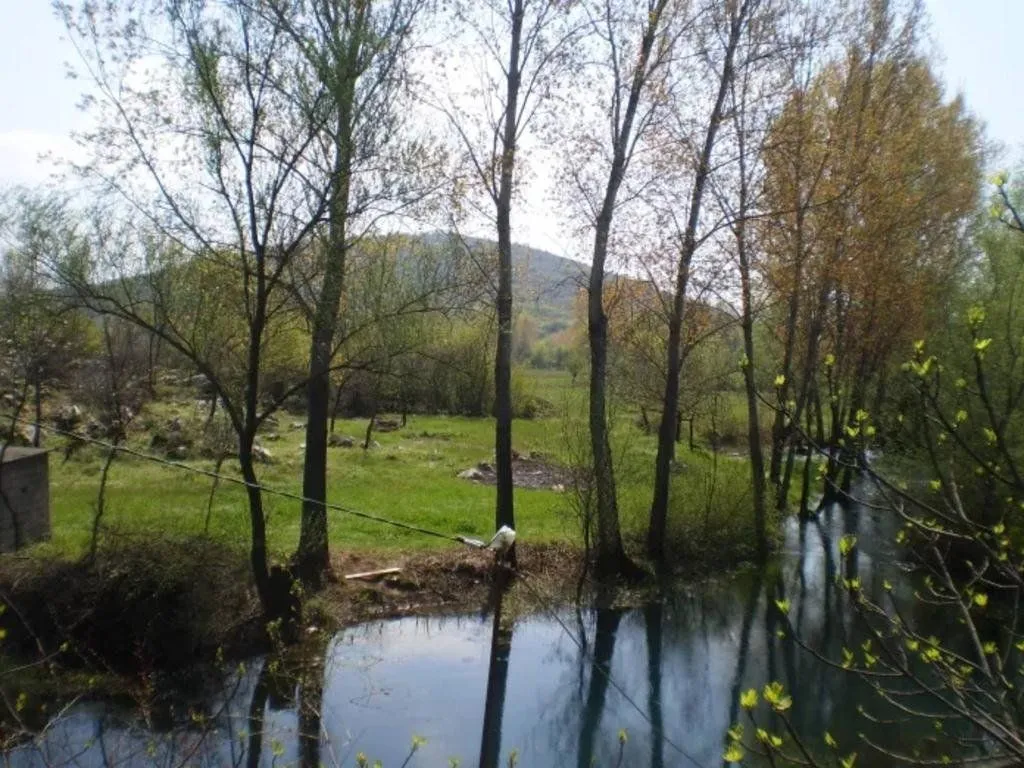 Prodaja, plac, 8600m², Bandići, Danilovgrad