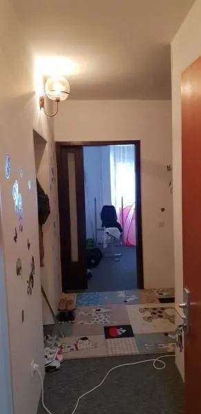 Sale, house, 280m², Telep, Novi Sad Sve Podlokacije