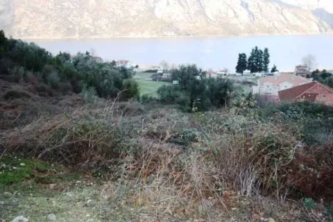 Pogled na plac sa rastinjem i more u pozadini. - image 3
