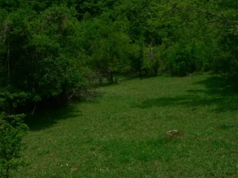 Prodaja, kuća, 120m², Gračanica, Andrijevica - image 4