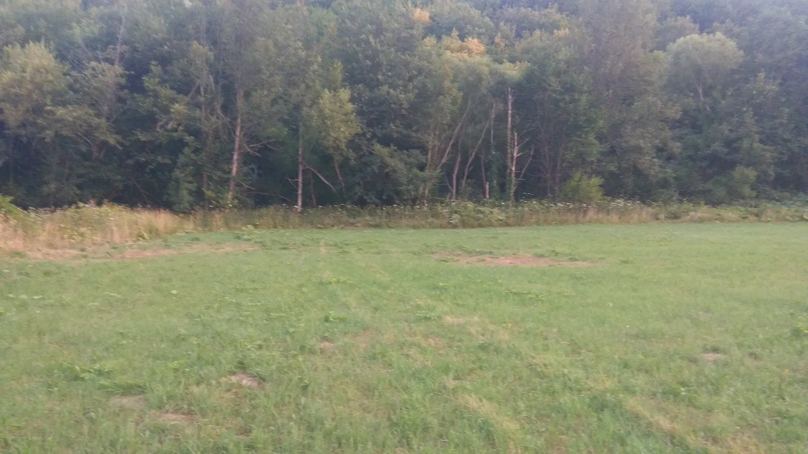 Prodaja, plac, 10000m², Kolašin, Crna Gora